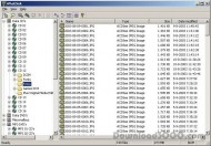 WhatDisk screenshot